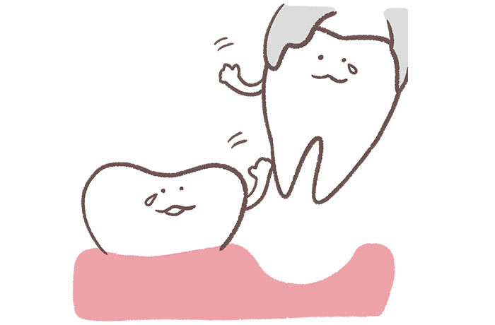 歯根膜は自然に再生しない